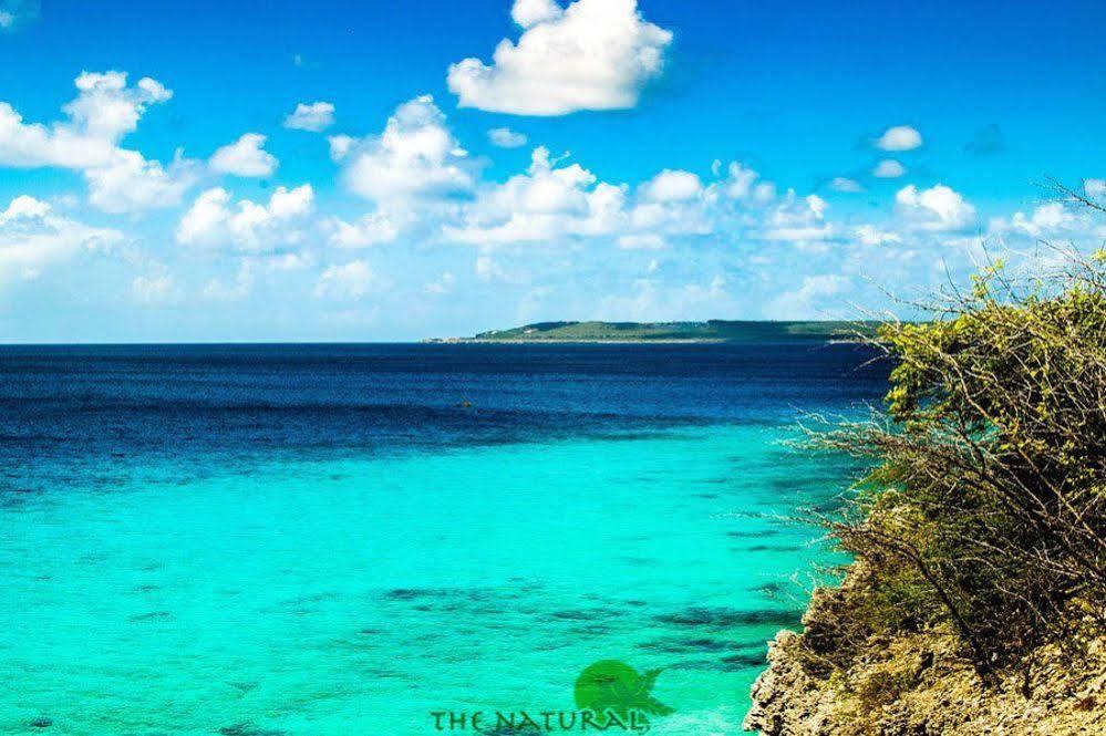 Bandabou Breeze Curacao Aparthotel Willibrordus ภายนอก รูปภาพ